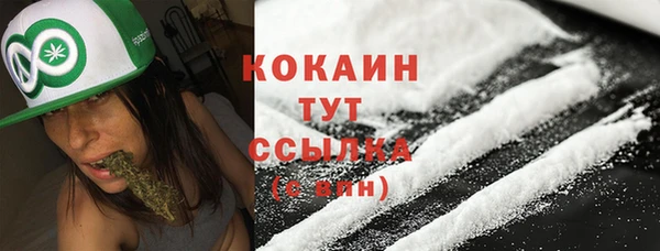 прущая мука Арсеньев