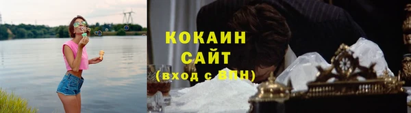 прущая мука Арсеньев
