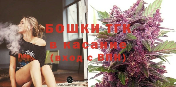 прущая мука Арсеньев