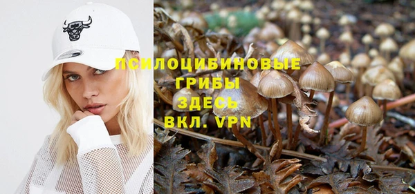 гидра Аркадак