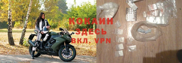гидра Аркадак