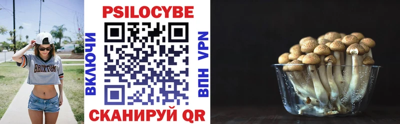 Псилоцибиновые грибы GOLDEN TEACHER  Купить закладки  Нерехта 